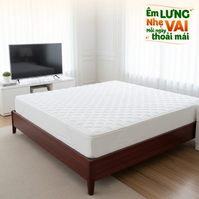 Tam bao ve nem Thanh Thuy 2026