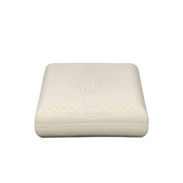 goi cao su van thanh01_nem dong thap