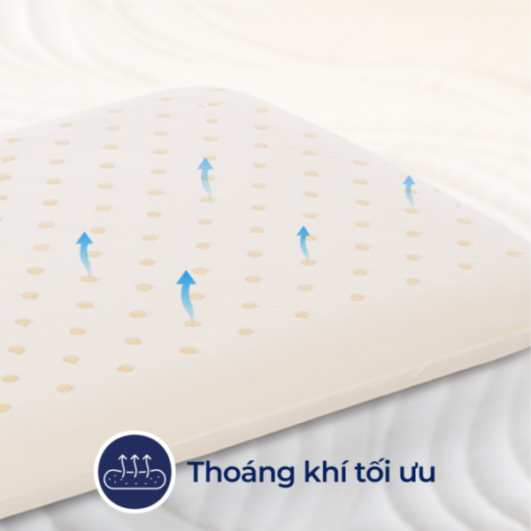 goi so sinh oval lien a - nem dong thap02