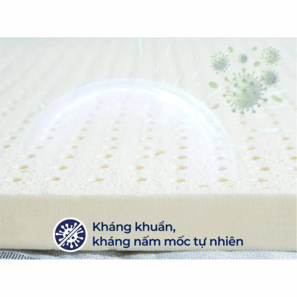 nem tre em pompoms lien - nem dong thap02