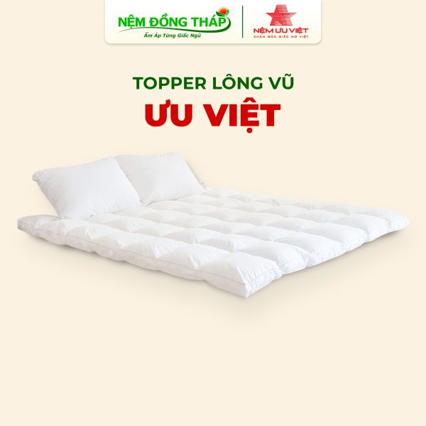 topper long vu uu viet - ndt