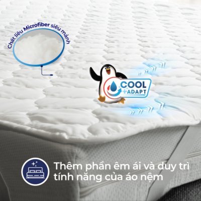 tam bao ve nem lien a - nem dong thap01