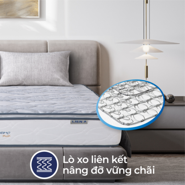 nem lo xo tui lien a cassaro plush1