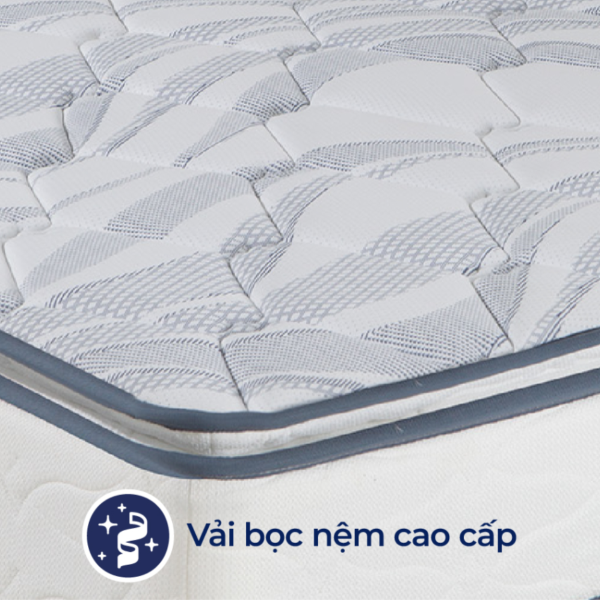 nem lo xo tui lien a cassaro plush3