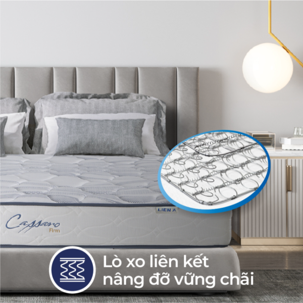 nem lo xo tui lien a cassaro3