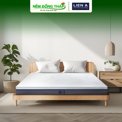 cao su iki lien a - ndt01