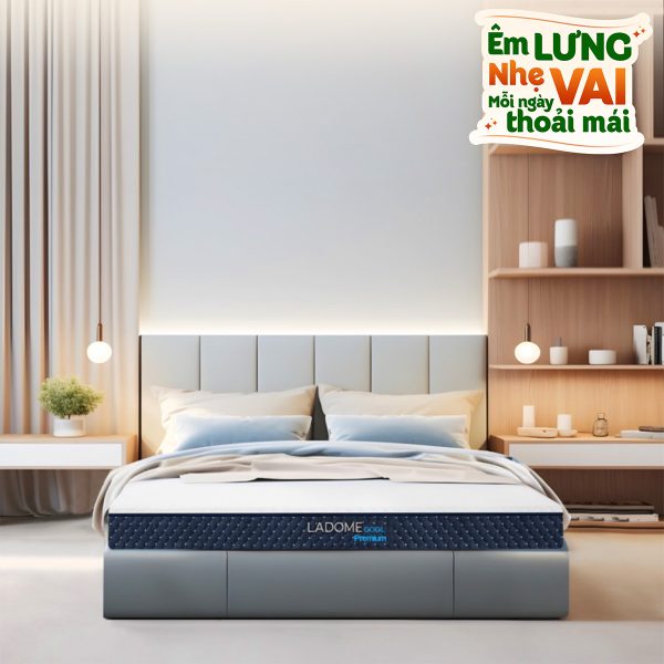 cao su lien a l'adome cool premium