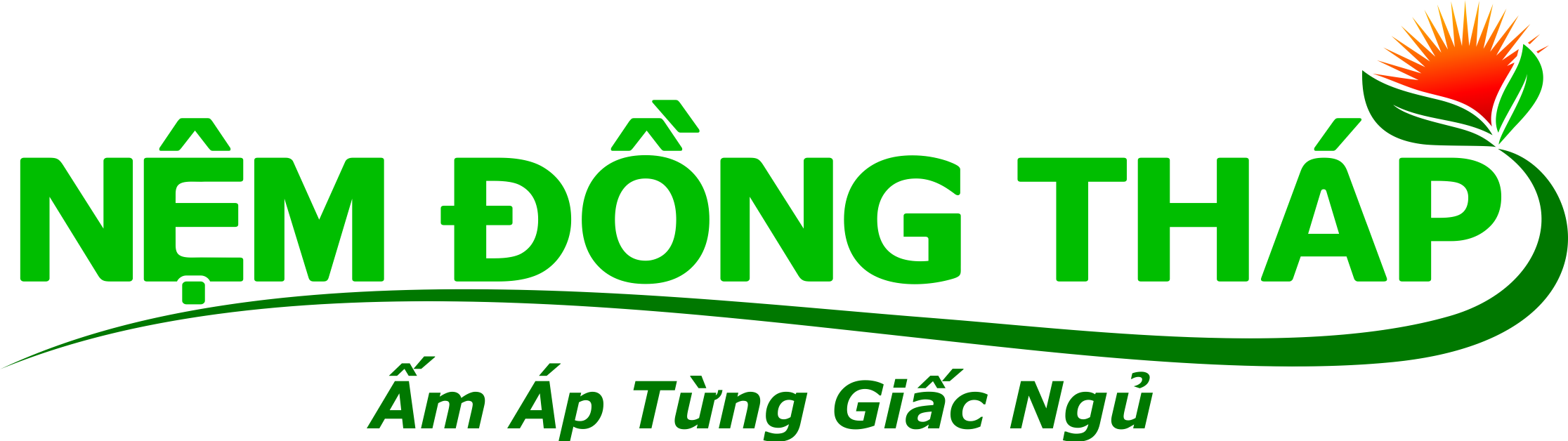 Logo Nem Dong Thap