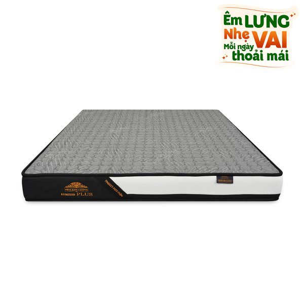 Ep tong hop Kim Cuong Plus 2026