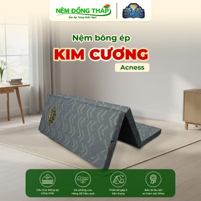 bong ep kim cuong acness - ndt