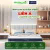 cao su Lien A Dome Cool Premium - ndt