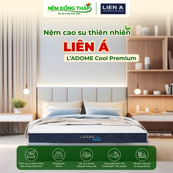 cao su Lien A Dome Cool Premium - ndt