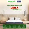 cao su Lien A Dome Premium - ndt
