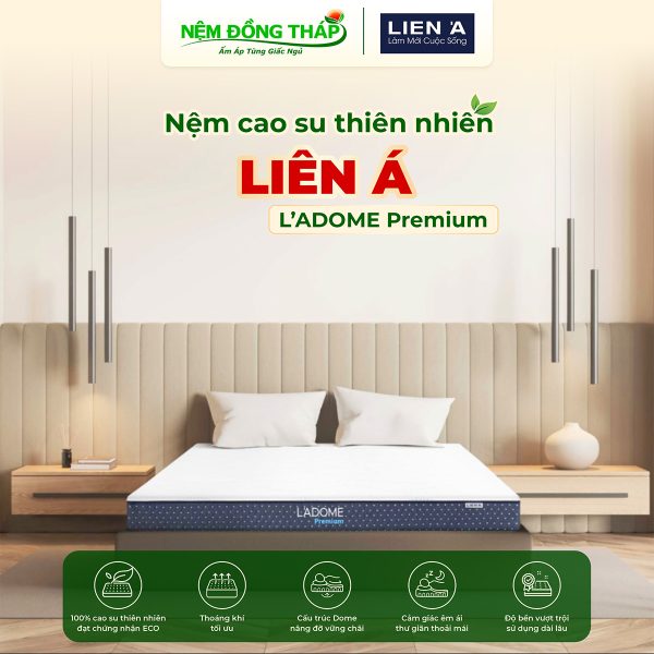 cao su Lien A Dome Premium - ndt