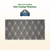 cao su bong kim cuong titan - ndt3