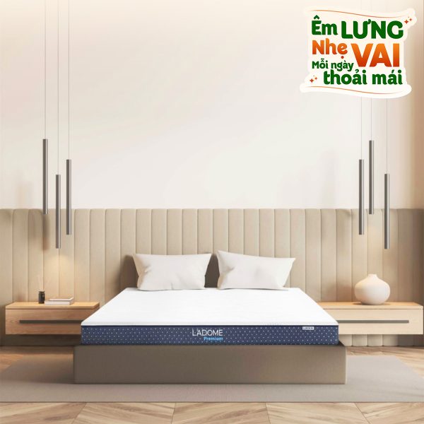 cao su lien a l'adome premium
