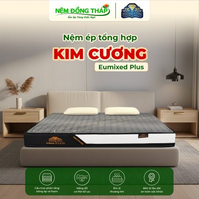ep tong hop kim cuong Eumixed Plus - ndt