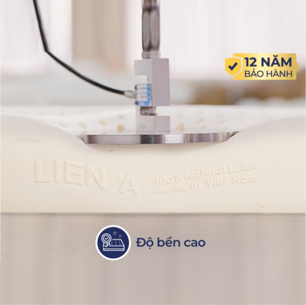 nem cao su lien a 5zone11