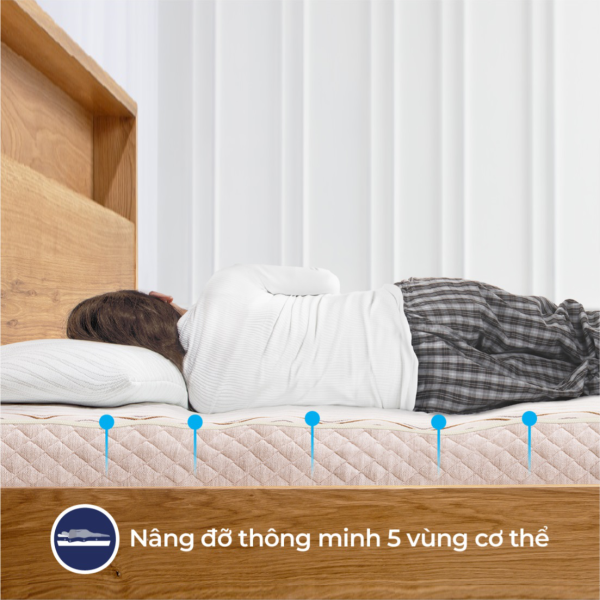 nem cao su lien a 5zone9