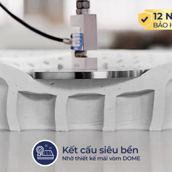 nem cao su lien a ladome grey06