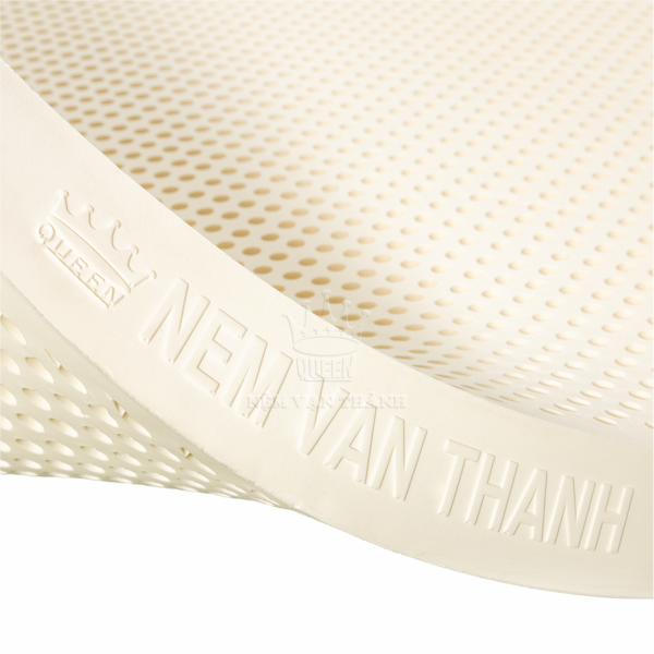 nem cao su van thanh unique -nem dong thap02