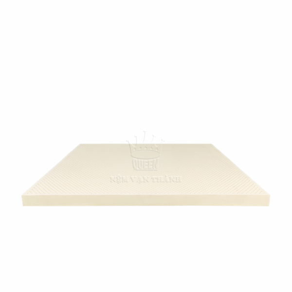 nem cao su van thanh unique -nem dong thap04