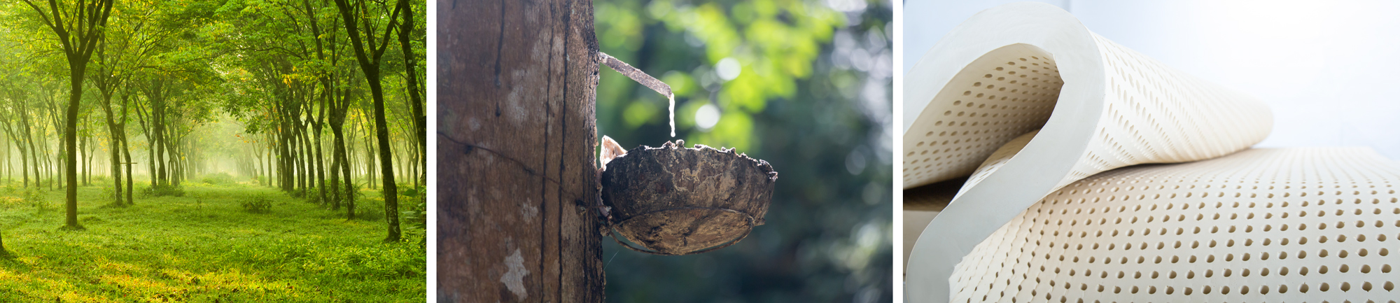 Nệm cao su thiên nhiên Vạn Thành Unique