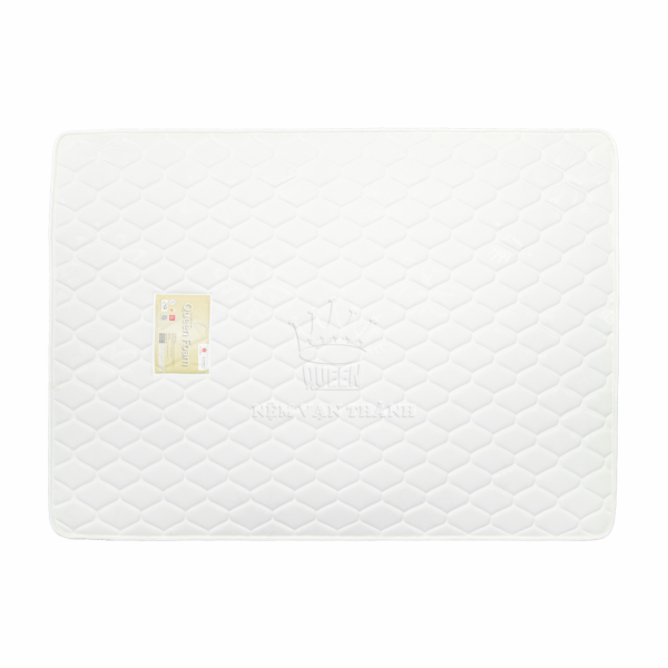 nem mousse foam van thanh bh 10 nam6