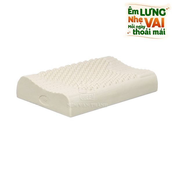 Goi cao su massage G1 Van Thanh 40x60x12-01