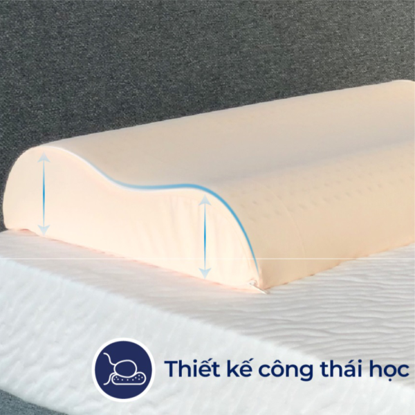 goi cao su contour lien a - nemdongthap02