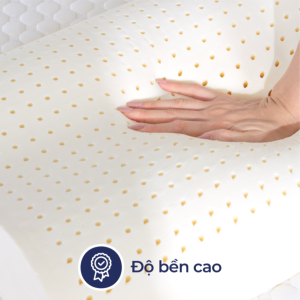 goi cao su contour lien a - nemdongthap03