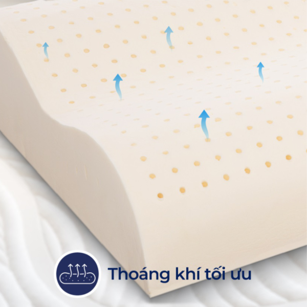 goi cao su contour lien a - nemdongthap04