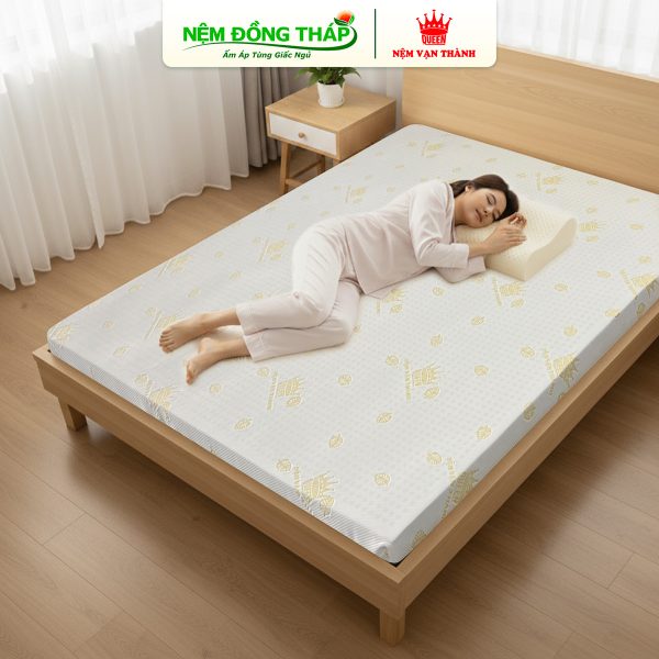 goi cao su don song van thanh - ndt