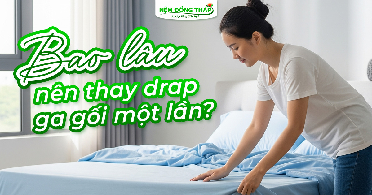 Bao lâu nên thay drap ga gối?