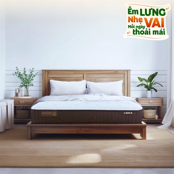 lo xo Lien A Coccon 2026