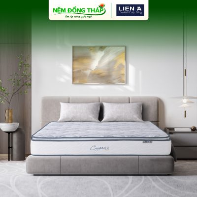 lo xo cassaro plush lien a - ndt01