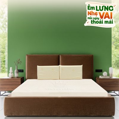 Nem cao su Van Thanh Segovia 2026