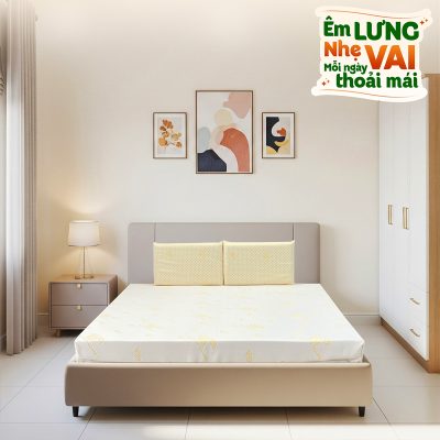 Nem cao su Van Thanh Standard 2026