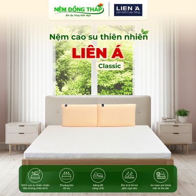 cao su Lien A Classic - ndt02