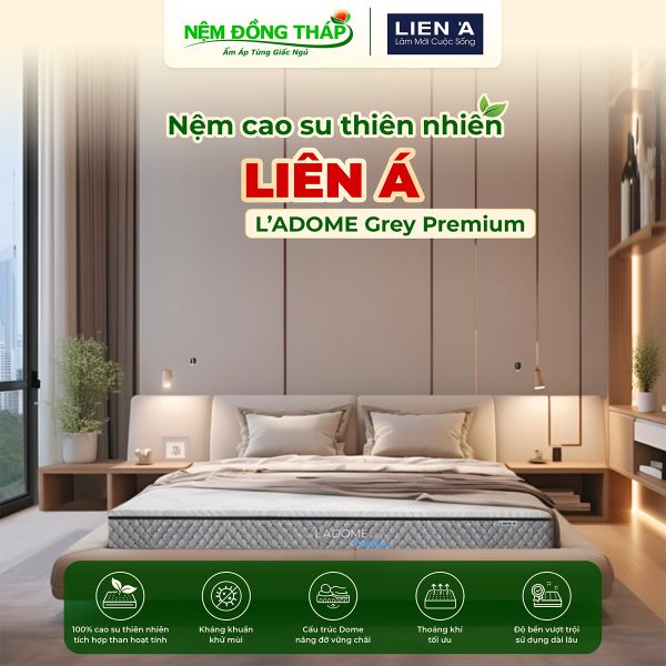 cao su Lien A Dome Grey Premium- ndt
