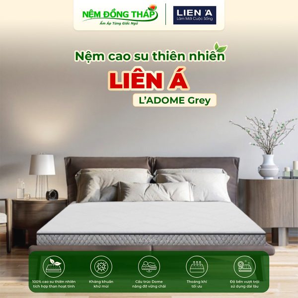 cao su Lien A Dome Grey - ndt