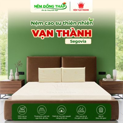 cao su thien nhien Van Thanh segovia - ndt