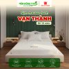 mousse foam van thanh - ndt