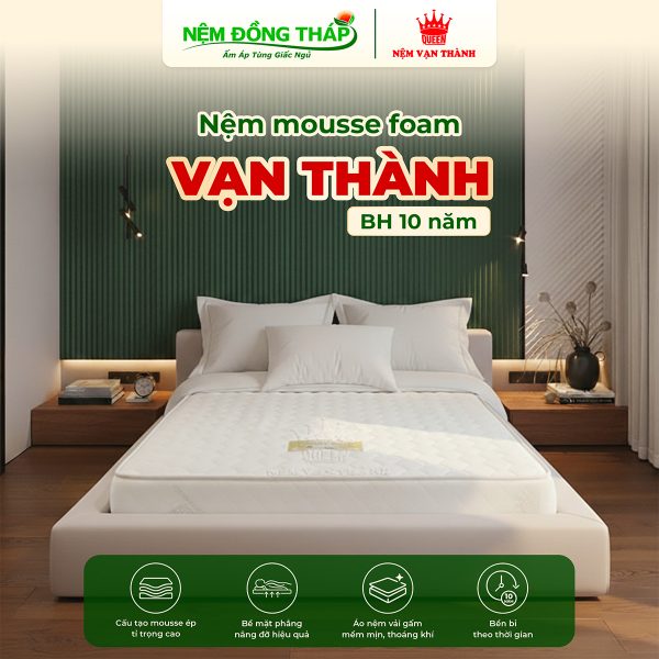 mousse foam van thanh - ndt