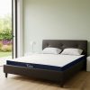 nem cao su nhan tạo titan uu viet - ndt