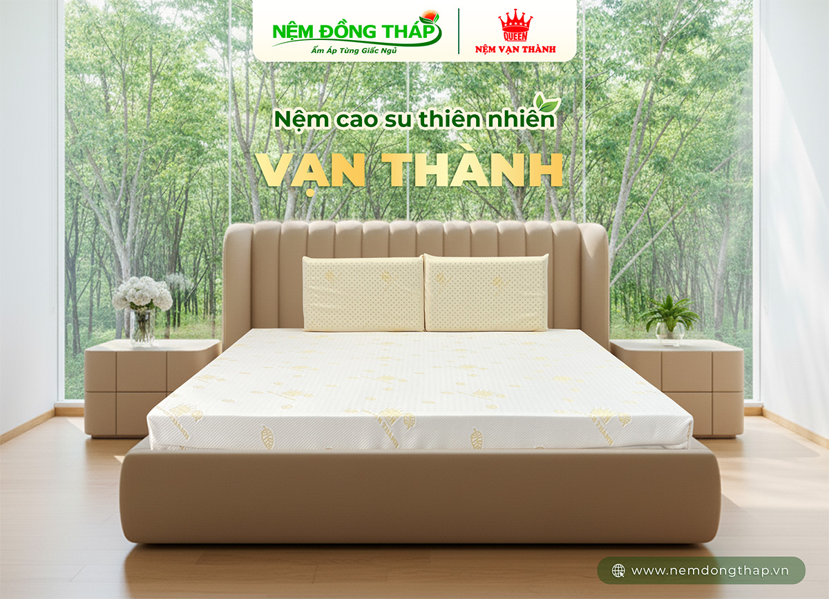 Nệm cao su thiên nhiên Vạn Thành chính hãng tại Nệm Đồng Tháp